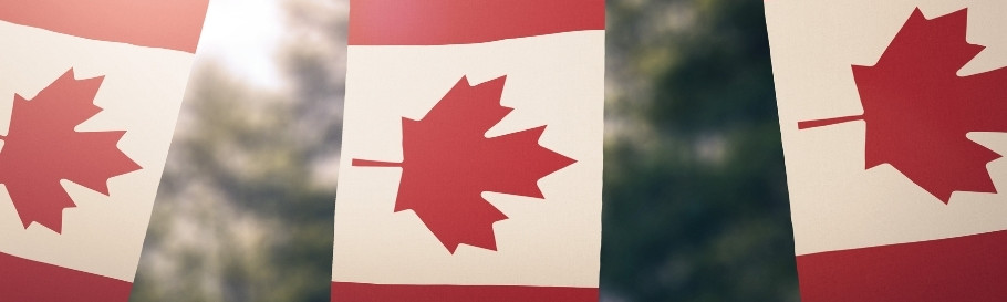 مهاجرت از طریق اکسپرس انتری