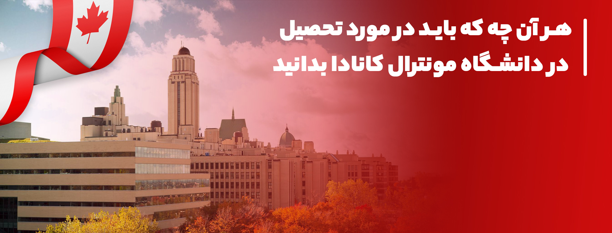 تحصیل در دانشگاه مونترال